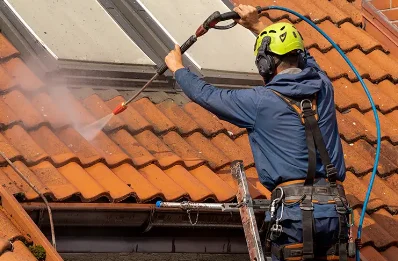 Démoussage et hydrofuge de toiture à Loupes